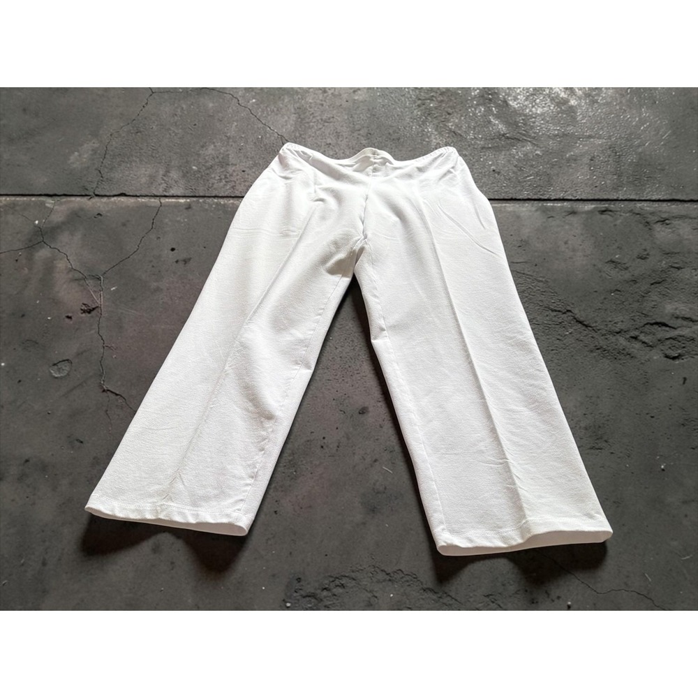 Women with Control Renee Greenstein White Pull On Straight Leg‎ Pants XLP Petite